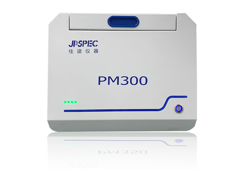 PM300